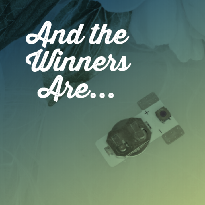 And the Winners Are…