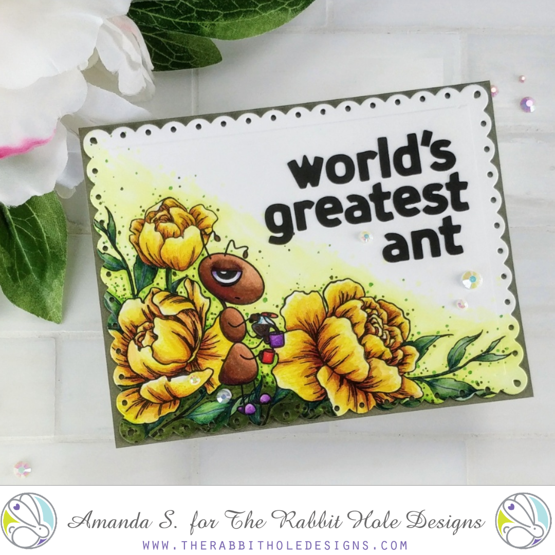 World’s Greatest ANT