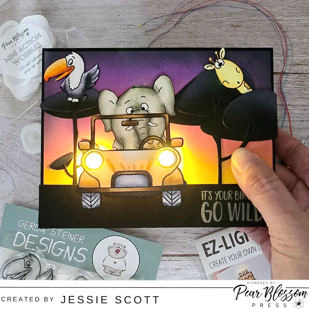 Let’s go on an EZ Night Safari!