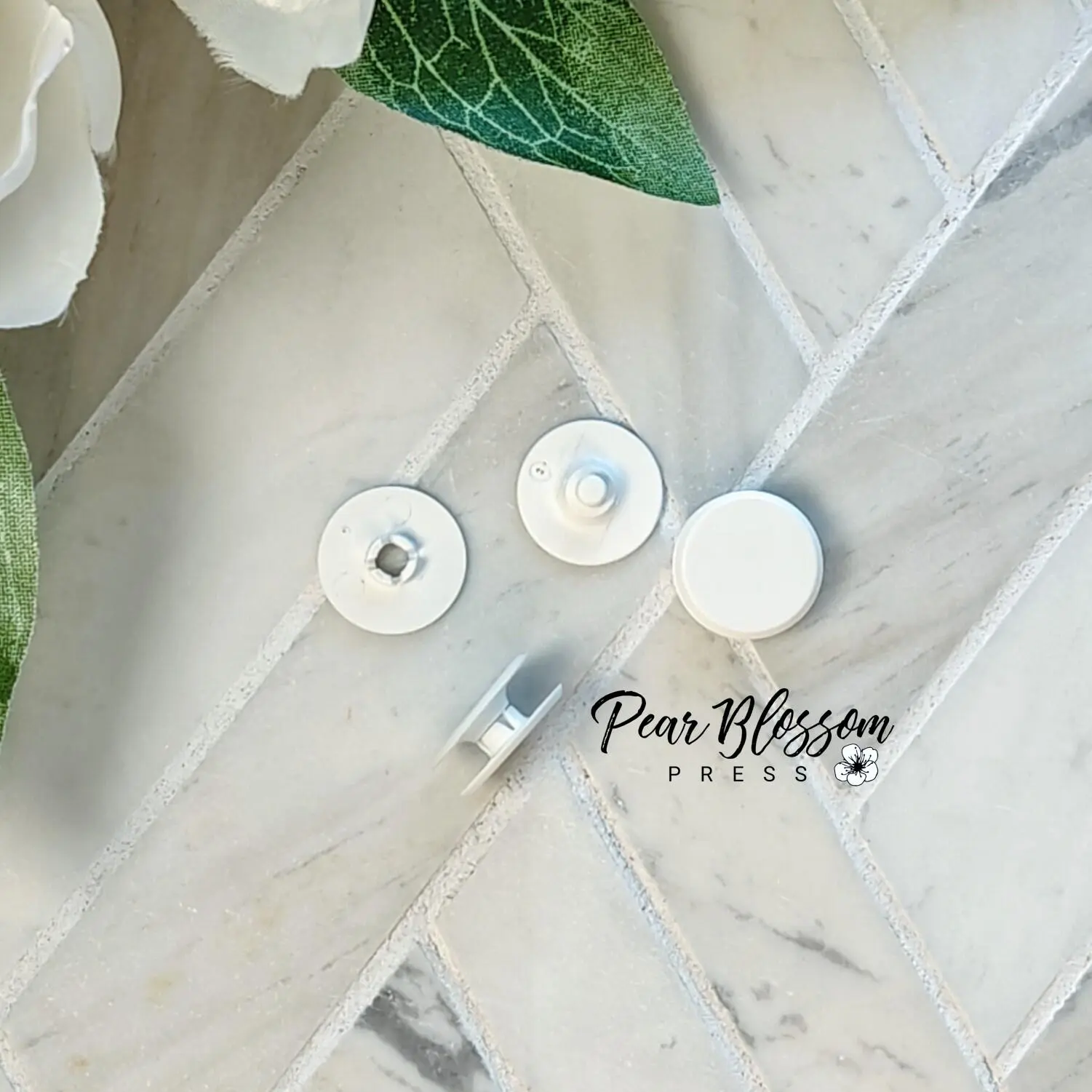 Snap and Slide by Pear Blossom Press