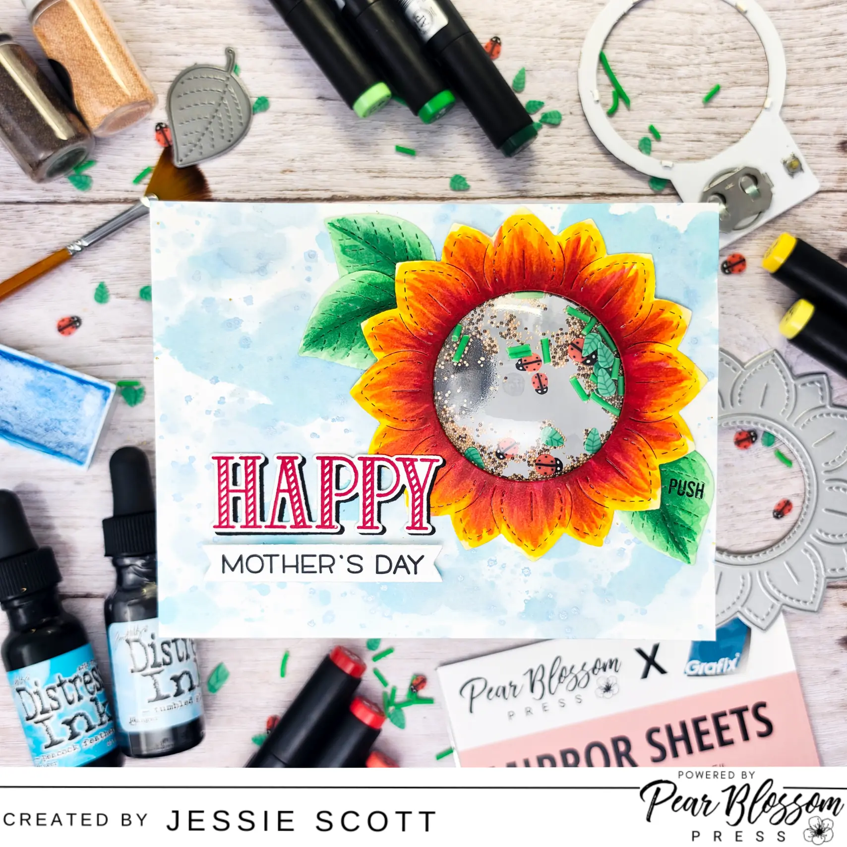 Mother’s Day Shaker Surprise Message