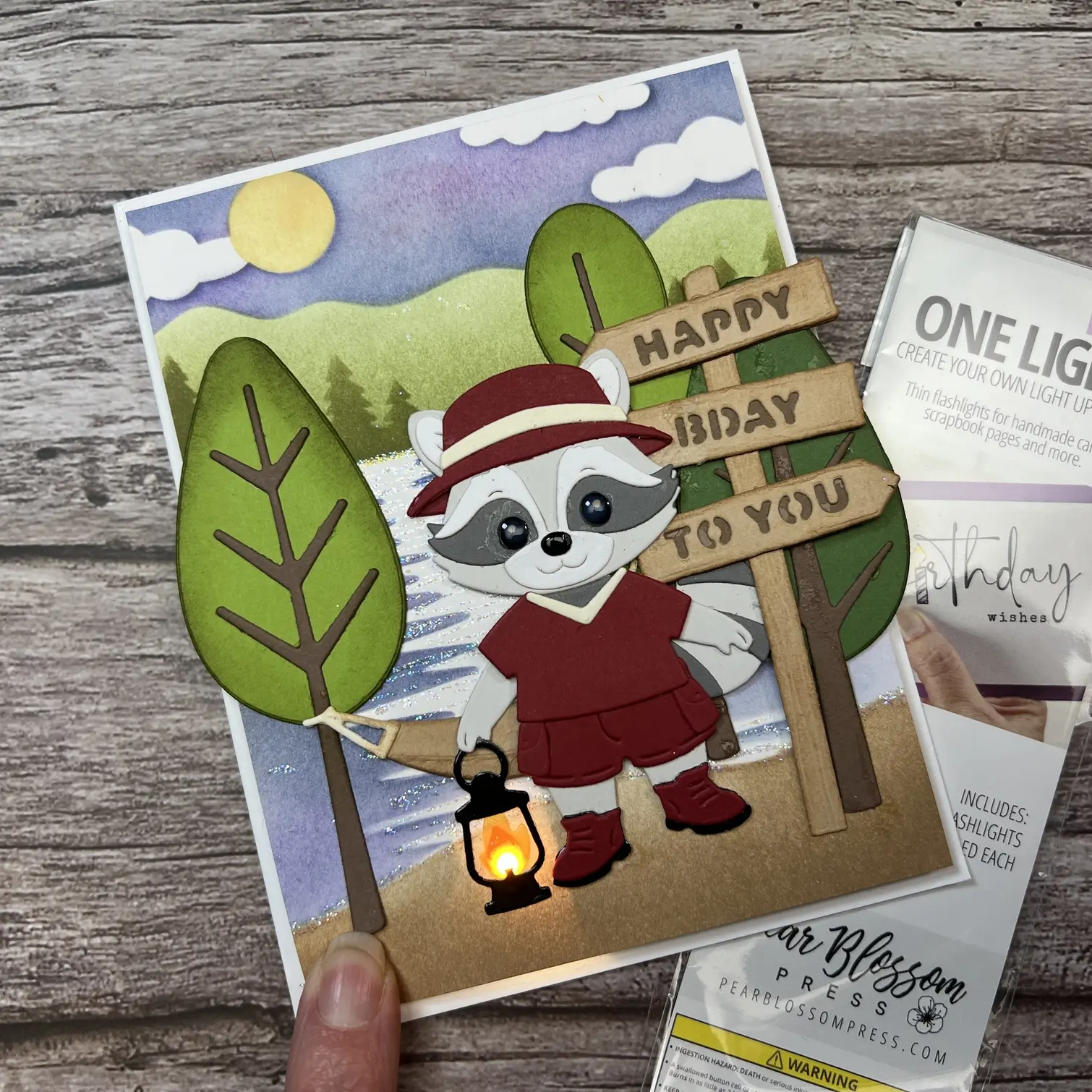 ✨Light up✨ Outdoor Birthday card